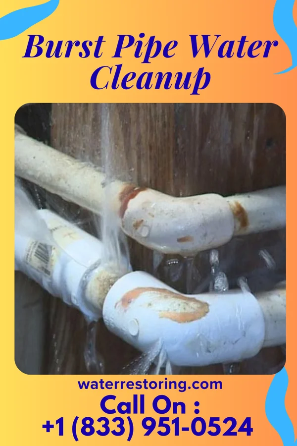 Burst Pipe Water Cleanup in Claryville, KY